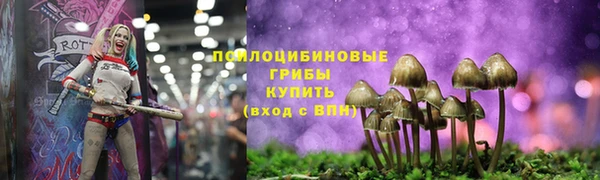прущая мука Пересвет