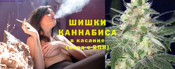 прущая мука Пересвет